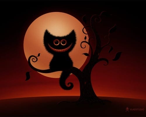 A Cheshire Kitten (Halloween Night)