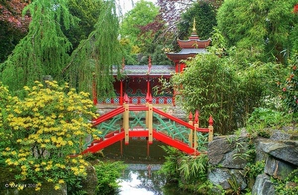 Relaxing your mind: 30+ Awe-Inspiring Photos of Japanese Garden